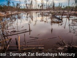 APKT Desak Bupati 50 Kota Tutup Permanen Tambang Ilegal Manggani dan Meminta APH “Tangkap” Penyuplai Bahan Berbahaya Mercury