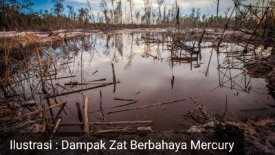 APKT Desak Bupati 50 Kota Tutup Permanen Tambang Ilegal Manggani dan Meminta APH “Tangkap” Penyuplai Bahan Berbahaya Mercury