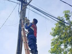 Tim Rescue Damkar Kabupaten Bekasi Selamatkan Burung Hantu Tersangkut di Tiang Listrik