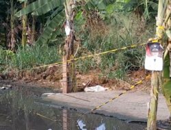 Foto Pj Walikota Bekasi di Pohon Pisang Hiasi Jalan Haji Namat Jatirangga Kota Bekasi