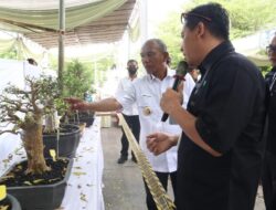 Pj Bupati Merangin Buka Pameran dan Kontes Bonsai