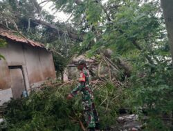 Hujan Disertai Angin Kencang, Rumah Warga Desa Bantarsari Pebayuran Tertimpa Pohon Tumbang