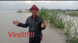 Kades di Lampung Selatan Berharap Menteri Pertanian Berikan Solusi Soal Banjir Yang Rendam Hektaran Sawah