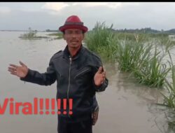 Kades di Lampung Selatan Berharap Menteri Pertanian Berikan Solusi Soal Banjir Yang Rendam Hektaran Sawah