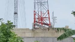 Pekerja Tertimpa Tower Setinggi 25 Meter Roboh, Satu Orang Meninggal Dunia