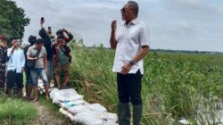 Menko Zulhas Tinjau Sawah Terendam Banjir di Lampung Selatan