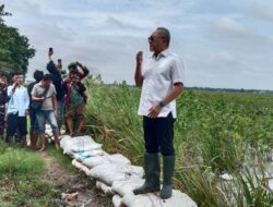 Menko Zulhas Tinjau Sawah Terendam Banjir di Lampung Selatan