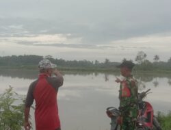 Ratusan Hektar Tanaman Padi di Desa Bali Agung Lamsel Terendam Banjir