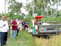 Tak Ada Combine Untuk Panen Padi, Petani di Desa Mekarmulya Palas Menjerit