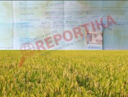 Luar Biasa…TKD Desa Sukamurni Jadi Ajang Bisnis Menggiurkan
