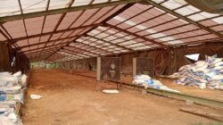 Tak Tahan Bau Menyengat, Warga Waringin Karya Karawang Protes Ke Perusahaan Peternakan Ayam